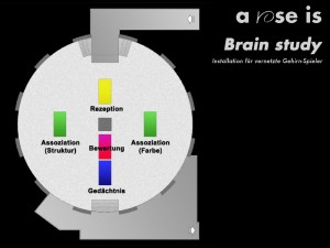 Brain study - räumliches Modell